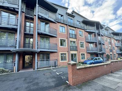 Picture 7